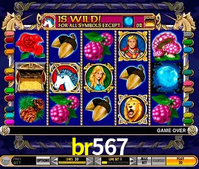 Live Casino br567